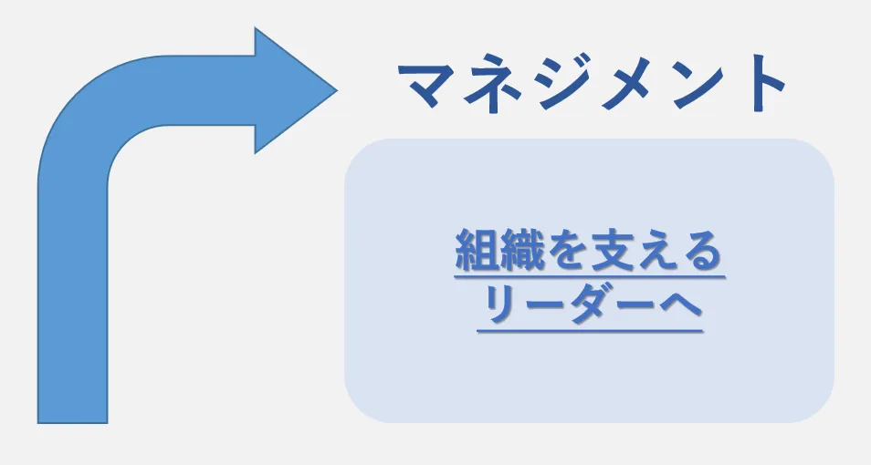 マネジメント：組織を支えるリーダーへ
